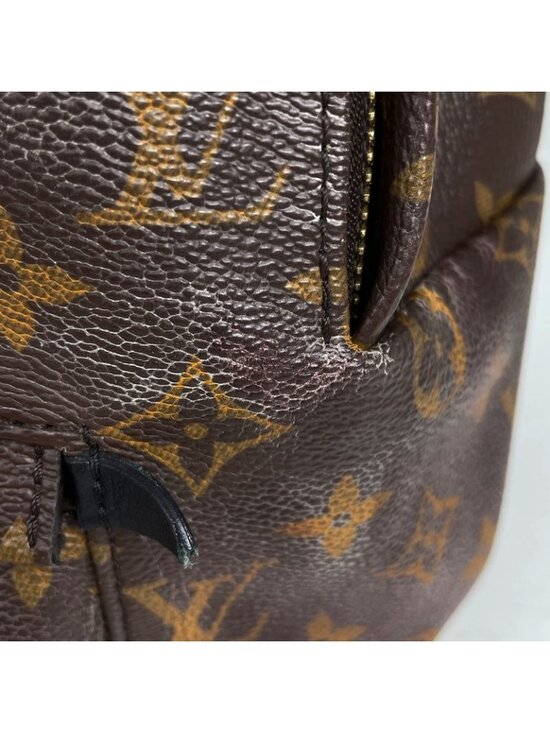 Louis Vuitton Palm Spring Backpack MM Monogram Brown main image 7